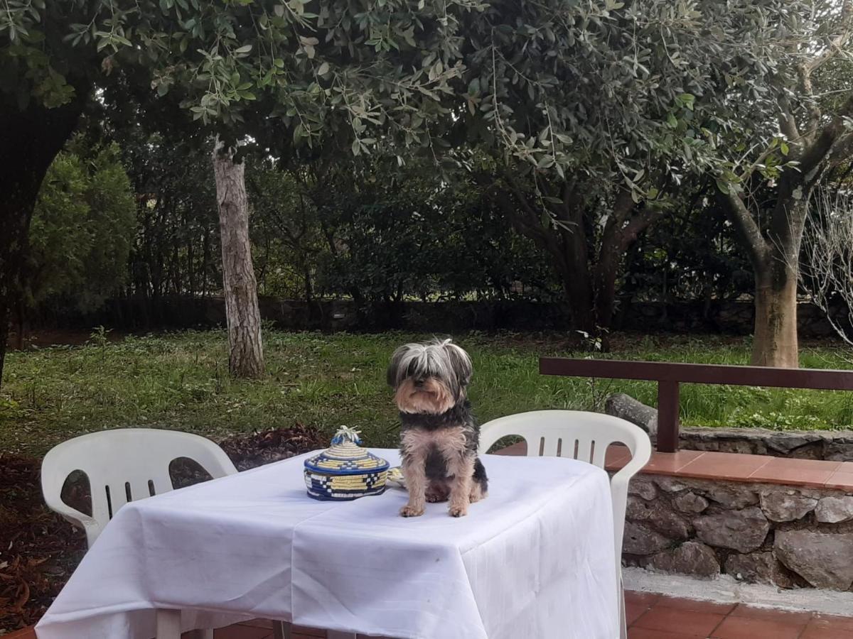 La Casa Di Mario Villa Itri Dış mekan fotoğraf